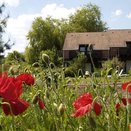 Alsace Village Obersteinbach Exterior foto